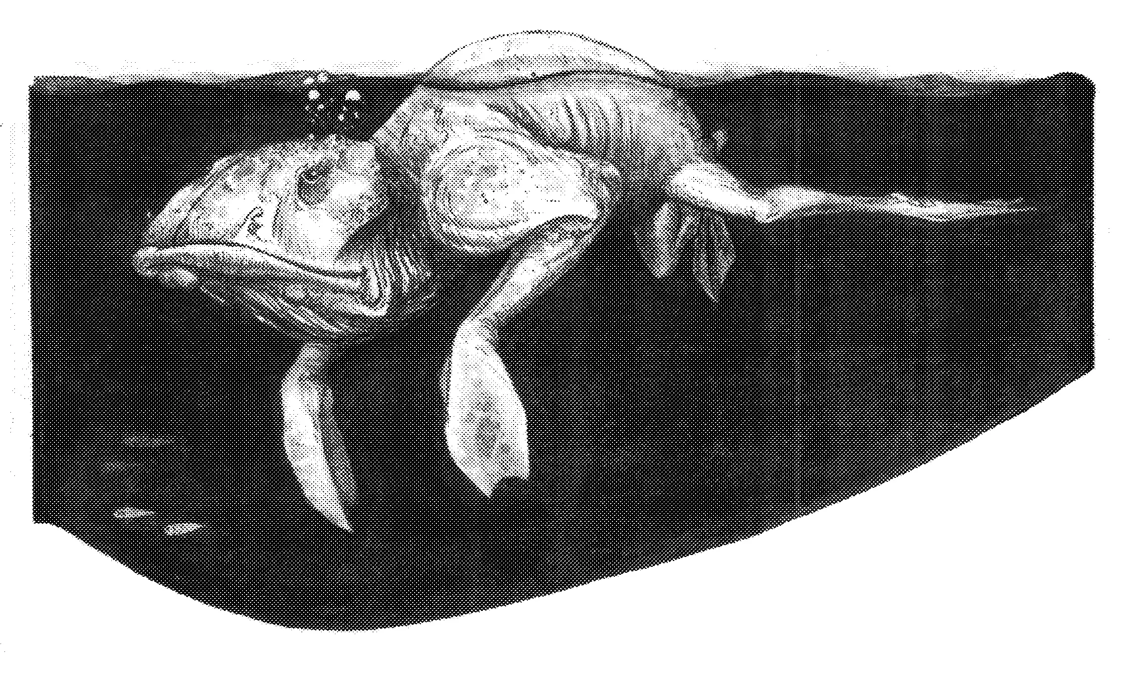 Eebeck Encumbered